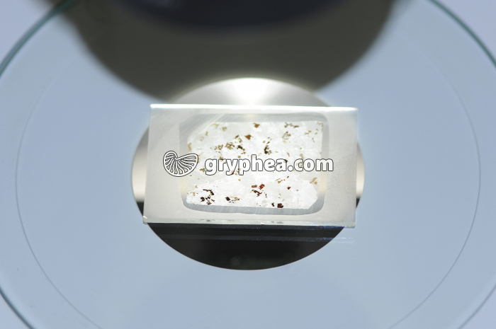 Lame mince granite sur platine de microscope polarisant - gryphea.com